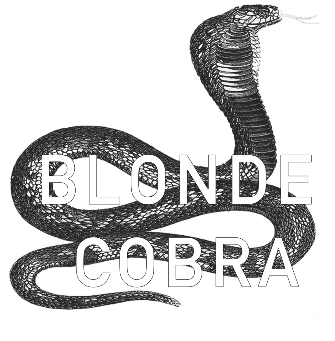 Blonde Cobra