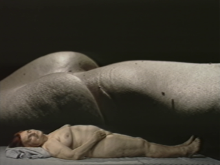 HARTMUT JAHN „AKT: INGE FüR FRANZ" (1994), VIDEO STILL HARTMUT JAHN „AKT: INGE FüR FRANZ" (1994), VIDEO STILL (DETAIL) © VG BILD-KUNST, BONN, 2018