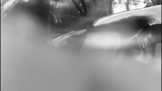 Videostill von Keta Gavashelis Aufnahmen der Henry Moore Skulptur im Düsseldorfer Hofgarten