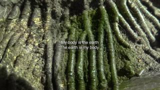 Key Visual Ecology of the body