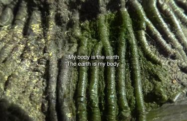 Key Visual Ecology of the body