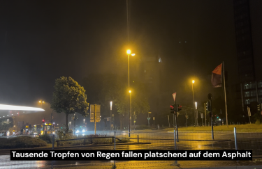 Nächtliche Straßenszene im Regen: nasser Asphalt unter Straßenlaternen, Bus an der Haltestelle, Autos mit Lichtreflexionen, wehende Flaggen, Bäume und Gebäude im Hintergrund. Untertitel: ‚Tausende Tropfen von Regen fallen platschend auf dem Asphalt‘.